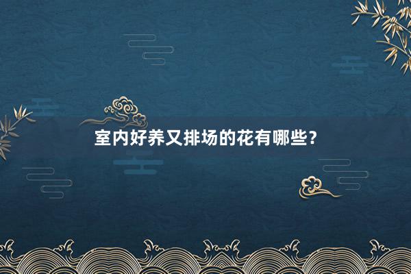 室内好养又排场的花有哪些?